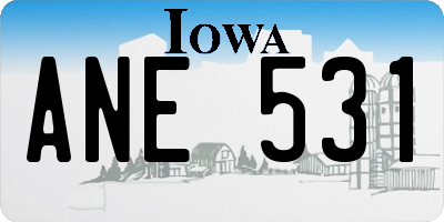 IA license plate ANE531