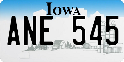 IA license plate ANE545