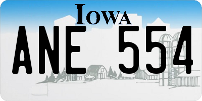 IA license plate ANE554