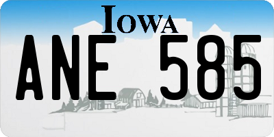 IA license plate ANE585