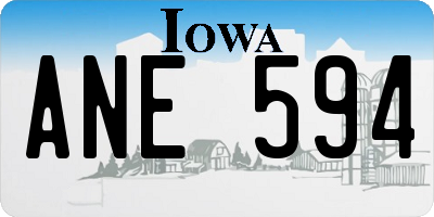 IA license plate ANE594