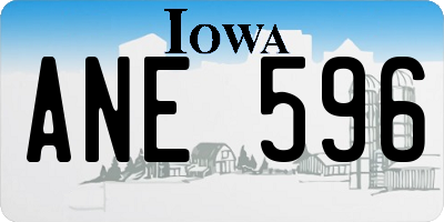 IA license plate ANE596