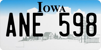 IA license plate ANE598