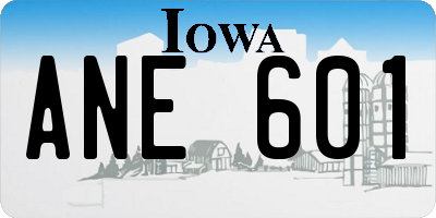IA license plate ANE601