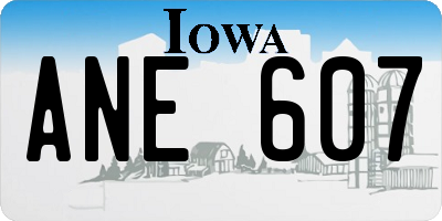 IA license plate ANE607