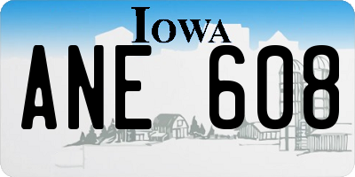 IA license plate ANE608