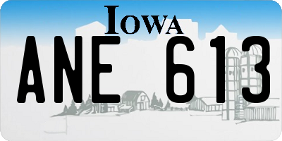 IA license plate ANE613