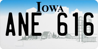 IA license plate ANE616