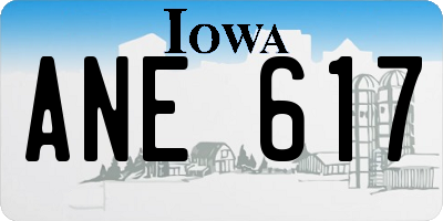 IA license plate ANE617