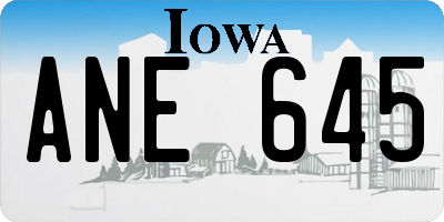 IA license plate ANE645