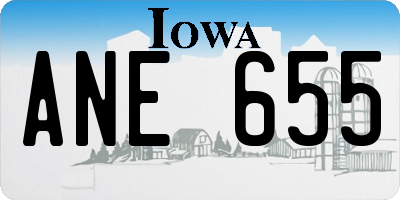 IA license plate ANE655