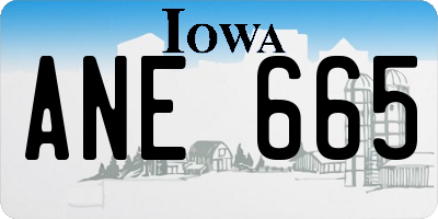 IA license plate ANE665