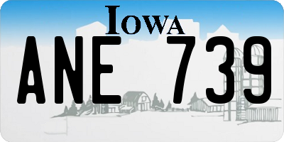 IA license plate ANE739