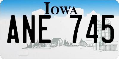 IA license plate ANE745