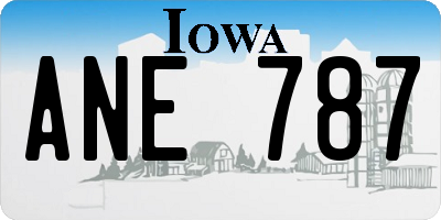 IA license plate ANE787
