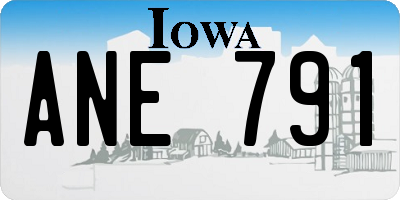 IA license plate ANE791