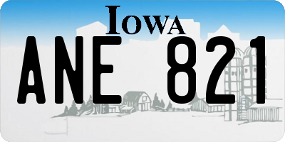 IA license plate ANE821