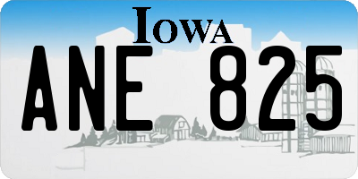 IA license plate ANE825