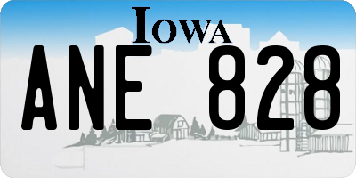 IA license plate ANE828