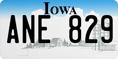 IA license plate ANE829
