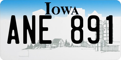 IA license plate ANE891
