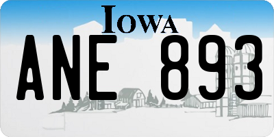 IA license plate ANE893