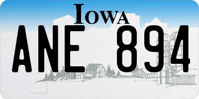 IA license plate ANE894