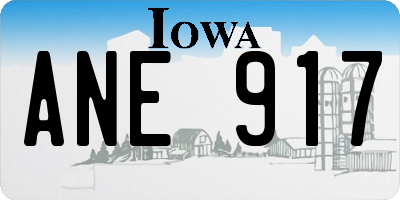 IA license plate ANE917