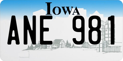 IA license plate ANE981