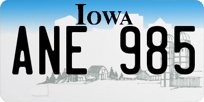 IA license plate ANE985