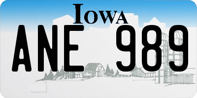 IA license plate ANE989