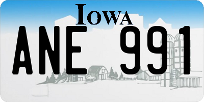 IA license plate ANE991