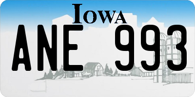 IA license plate ANE993