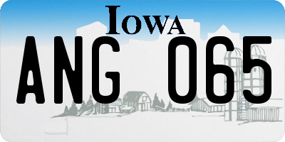 IA license plate ANG065
