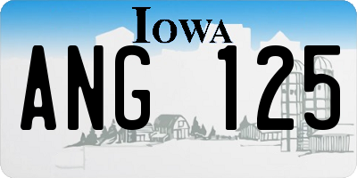 IA license plate ANG125