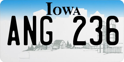 IA license plate ANG236