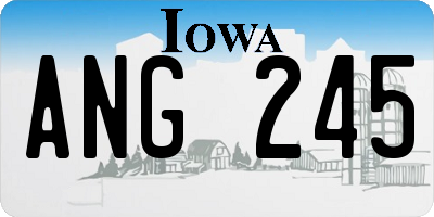 IA license plate ANG245