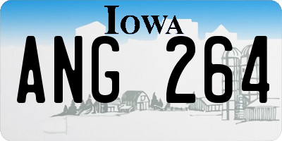 IA license plate ANG264