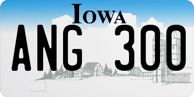 IA license plate ANG300