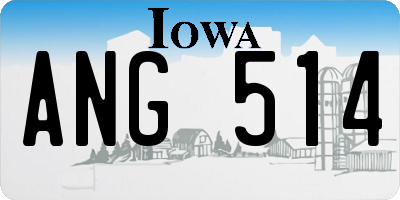 IA license plate ANG514