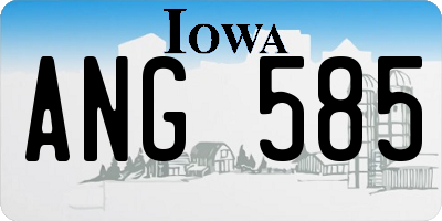 IA license plate ANG585