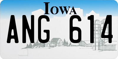 IA license plate ANG614