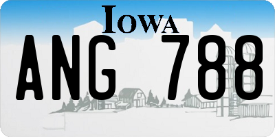 IA license plate ANG788