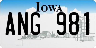 IA license plate ANG981