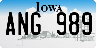 IA license plate ANG989