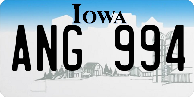 IA license plate ANG994