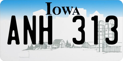 IA license plate ANH313