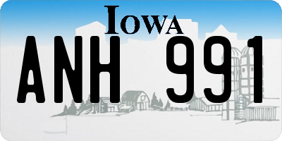 IA license plate ANH991
