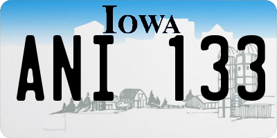 IA license plate ANI133
