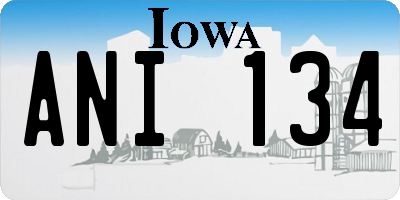 IA license plate ANI134